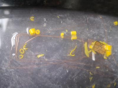 Прикрепленное изображение: 359130719_10161319025088453_6741611036918991467_n.jpg